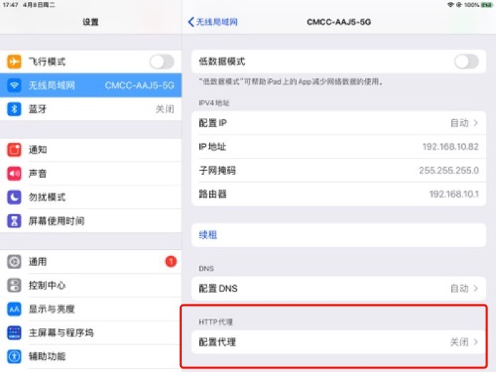 iOS 设备代理配置界面