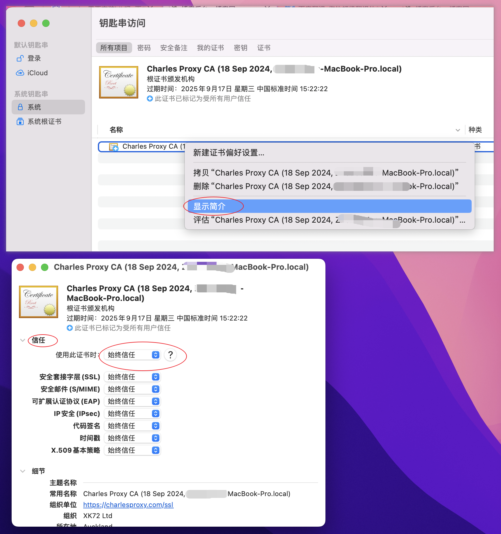 Charles Proxy Mac版证书安装步骤2 - 系统钥匙串信任设置