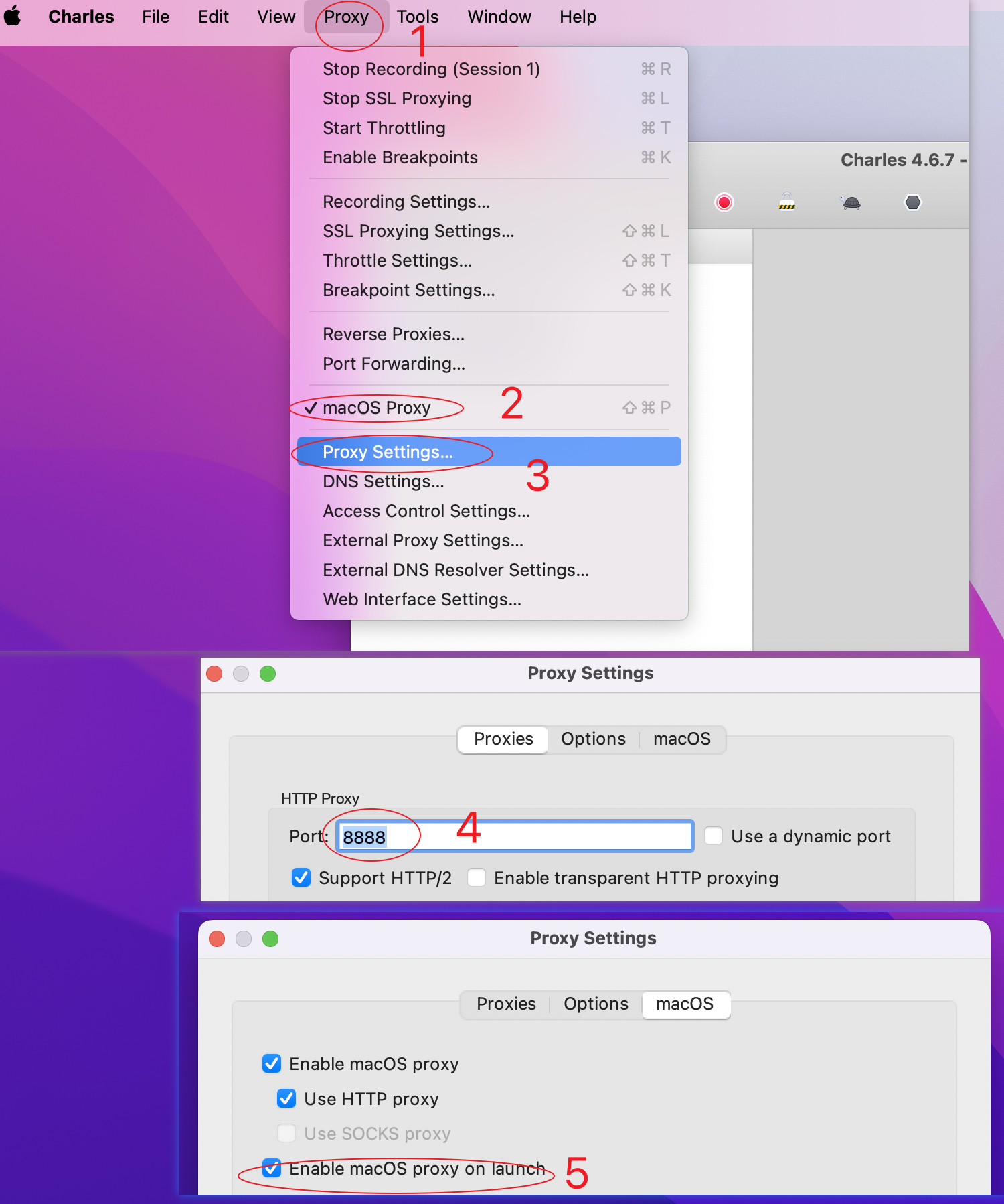 Charles Proxy Mac版系统代理设置步骤 - macOS Proxy配置界面